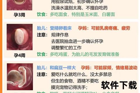 10岁小孩怀孕可能性探讨_过早妊娠的医学警示