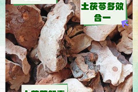 土茯苓功效解析_清热解毒除湿通络与健康应用