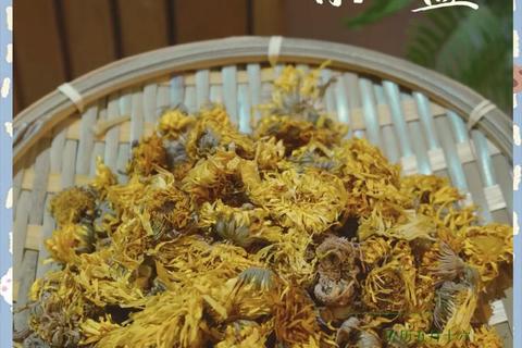 金盏花：抗炎抗菌与美容修复的天然良方