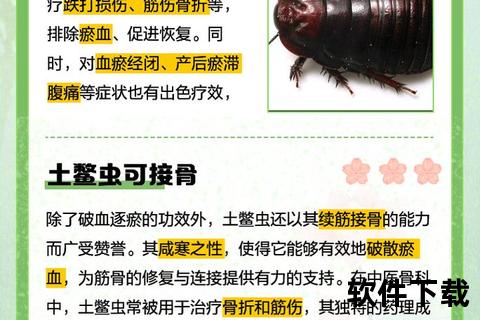 土鳖虫功效解析：活血散瘀_通络止痛与中医临床应用