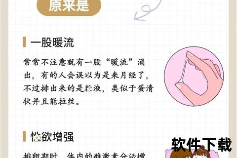排卵期症状有哪些-常见身体信号及表现详解