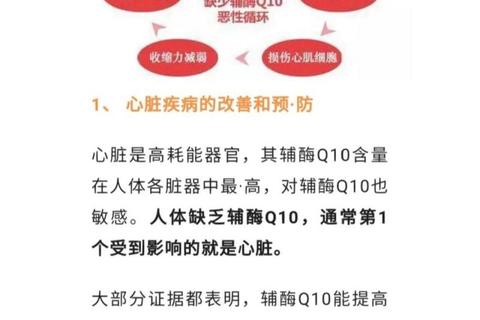 辅酶Q10副作用解析：心悸成因与安全使用建议