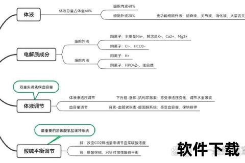 新生儿电解质代谢特点与临床管理策略