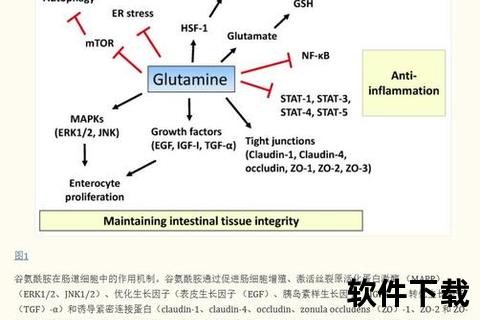 复方谷氨：胃肠黏膜修复机制与临床应用研究进展