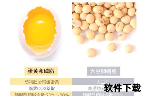 卵磷脂副作用解析：潜在风险与使用注意事项