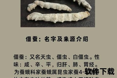 白僵蚕功效解析：祛风解痉_化痰散结及抗肿瘤作用探讨