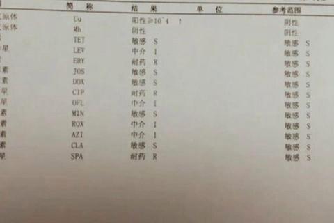 妇科支原体阳性症状解析：感染特征与诊疗建议