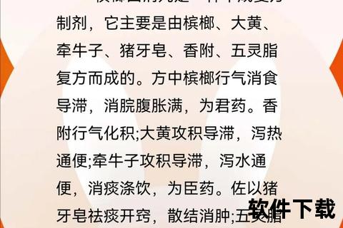消食导滞_行气泻水——槟榔四消丸的胃肠调理功效