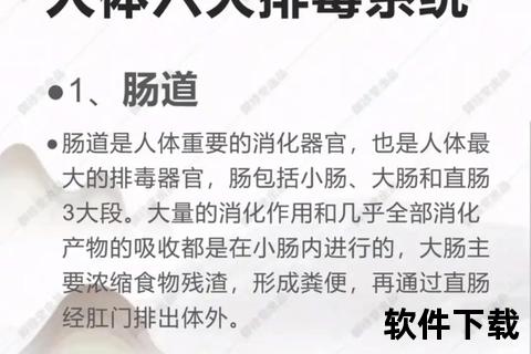 润肠通便新选择：天然配方助肠道健康轻松排毒