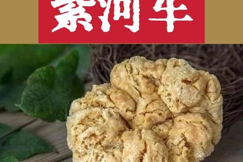 紫河车胶囊：探索传统中药与现代健康管理的创新融合之道