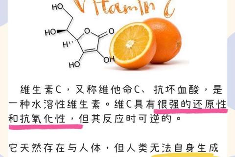 维生素C是什么？解析关键作用与人体必需性