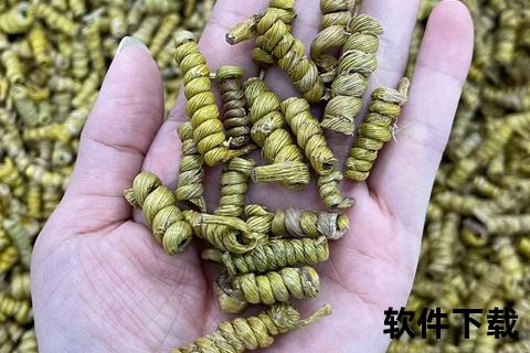 石斛滋阴养胃-增强免疫抗氧化功效解析与健康应用