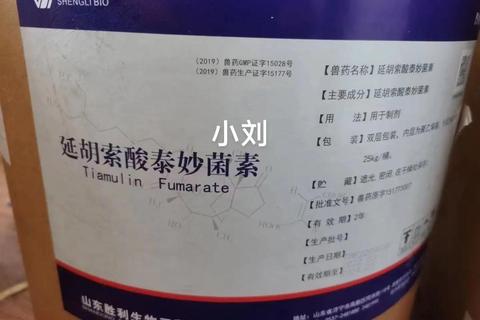 复方延胡索喷雾剂：镇痛机制解析与临床应用研究新探