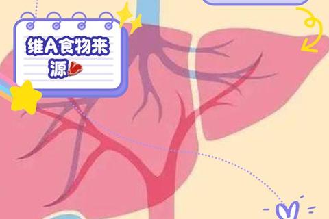 维生素A补充指南：吃什么食物最有效摄入