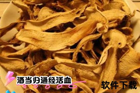 酒当归的功效与作用解析：活血补血及增强免疫力临床应用