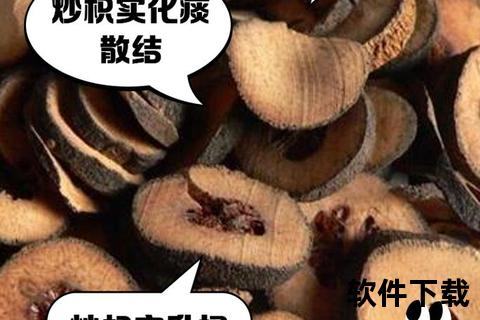 炒枳实功效与作用解析-疏肝理气及消化系统调理探要