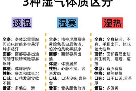 痰湿型月经不调_从脾虚湿盛论治与调经策略探析