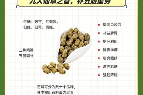 石斛功效与作用解析：滋养养生_增强免疫力的天然良方