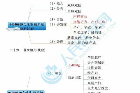 妇科在造丸_临床应用解析与女性生殖健康调理机制探讨