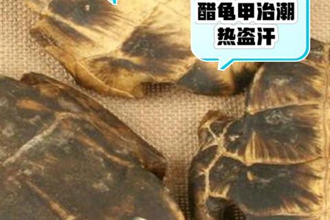 醋鳖甲的功效与作用解析：滋阴潜阳_软坚散结的中药应用