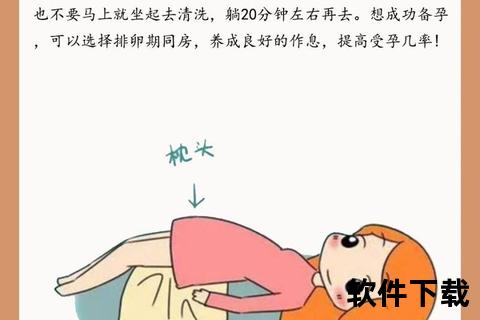 后位子宫解析：定义、症状及对受孕的影响
