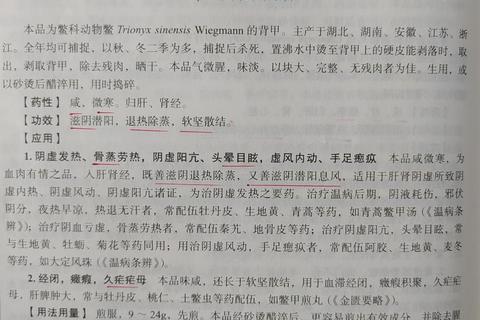 鳖甲功效与作用解析：滋阴潜阳_软坚散结的临床应用及健康益处