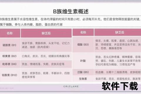 B族维生素与维生素B的核心区别：成分_功能及适用场景解析