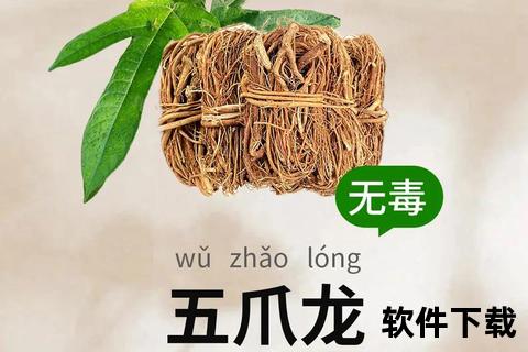 龙爪：清热解毒_润肠通便与活血化瘀的天然良方
