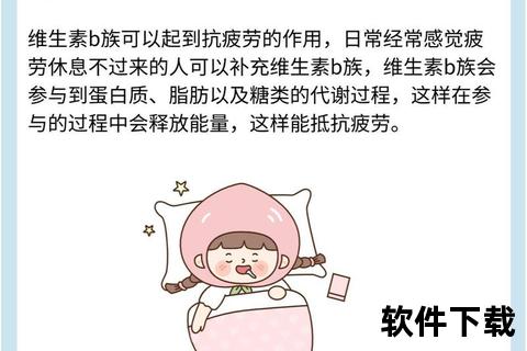 维生素B群怎么吃-科学补充方法与日常饮食建议