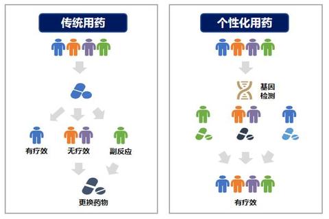 内科精准用药策略：适应症解析与疗效优化路径