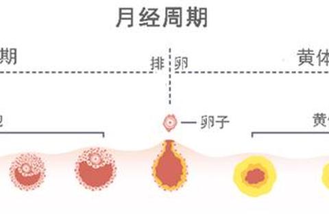 一个月来两次月经_排卵期出血-内分泌紊乱或妇科疾病需警惕