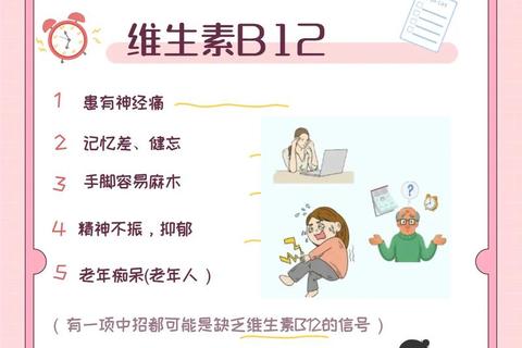 维生素B族健康益处解析：增强代谢与提升能量的关键作用