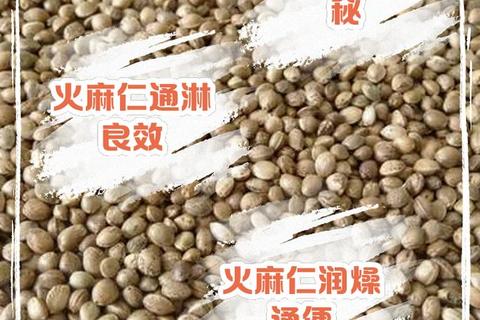 火麻仁功效与作用解析：润肠通便_营养滋补_健康益处