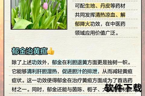 醋郁金功效与作用解析：活血止痛_行气解郁_清心凉血功效详解