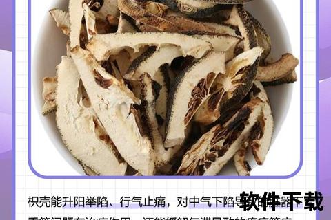 枳壳功效解析：行气宽中与消积化痰的关键作用机制