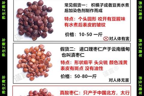 酸枣仁功效解析：安神助眠与养心补肝的双重作用
