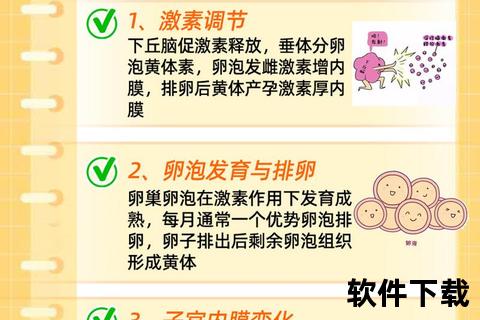炎是否影响月经周期-解析炎症与经期的潜在关联