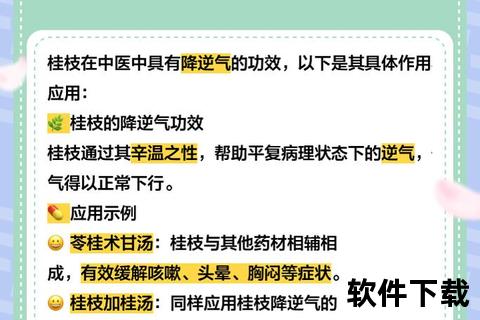 桂枝功效与作用探析：温经通脉及助阳散寒核心机制