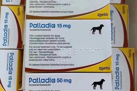 帕金森病药物治疗新方向-靶向给药与联合疗法突破