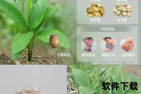 复方半夏止咳平喘机制解析与现代化制剂应用研究