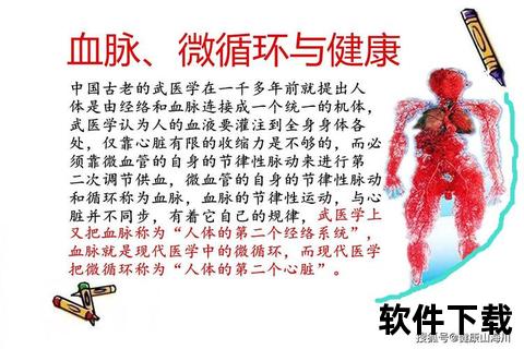 脉管复康胶囊_血管修复与微循环改善双重功效解析