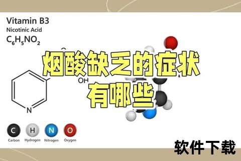 维生素B的作用与补充指南-维持健康不可或缺的关键营养素