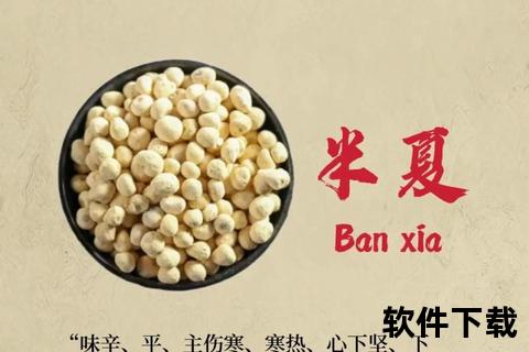 半夏曲核心功效解析：止咳化痰-和胃降逆与消痞散结作用