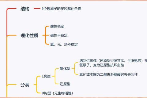 维生素C钠_抗氧化特性与健康产品开发应用新进展