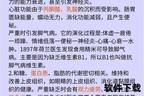 维生素G（B2）的核心作用：守护黏膜健康与能量代谢