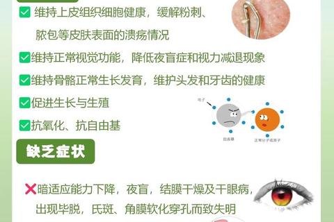 维生素A：守护视力、免疫与皮肤健康的关键作用