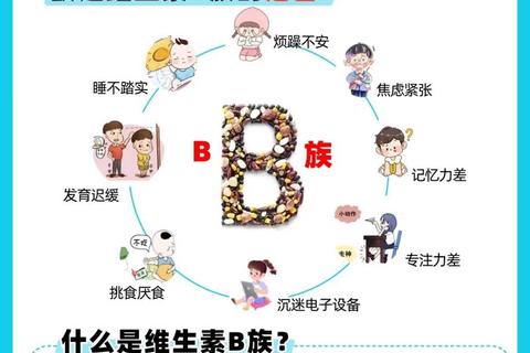 儿童维生素B族补充指南:助力健康成长关键营养
