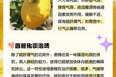香橼的功效与作用解析-天然保健与药用价值探秘