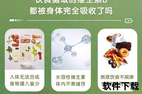纽斯葆维生素B族_日常营养补充与健康活力之源