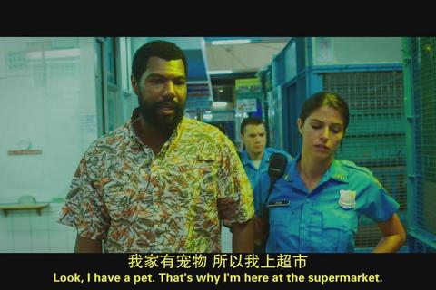 风之力：自然韵律与人类文明的交织